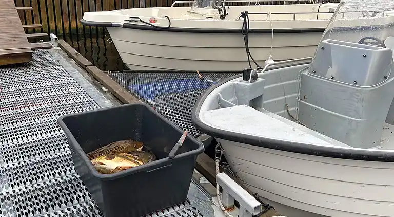 Semesterbostad i Melandsvågen