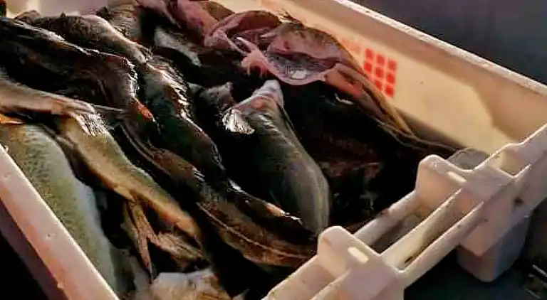 Semesterbostad i Melandsvågen