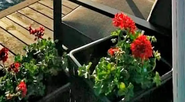 Semesterbostad i Melandsvågen