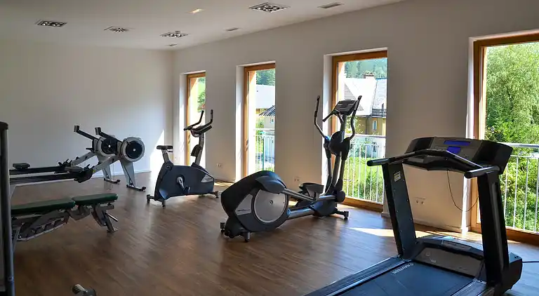 Apartment in Obertraun