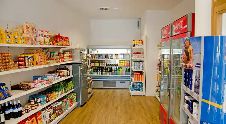 Apartment in Obertraun