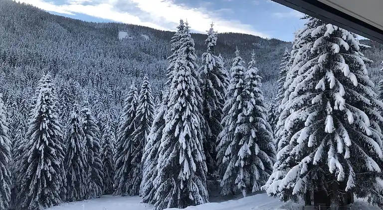 Apartment in Bad Kleinkirchheim