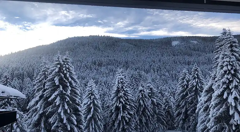 Apartment in Bad Kleinkirchheim