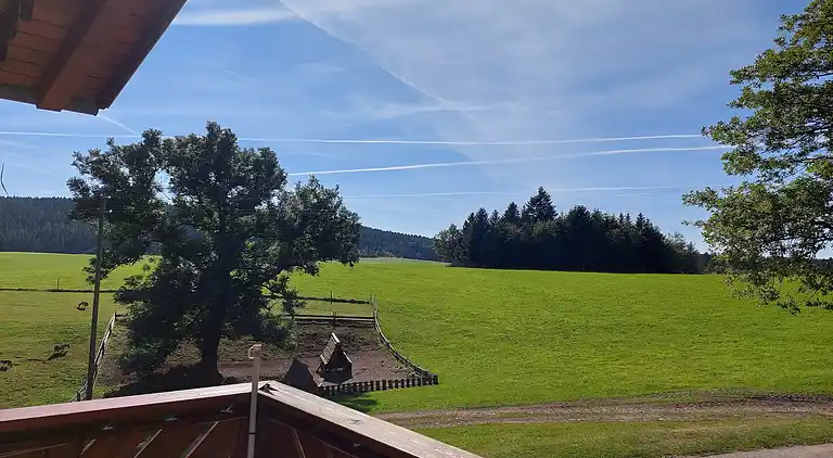 Ferielejlighed i Fohrenbühl