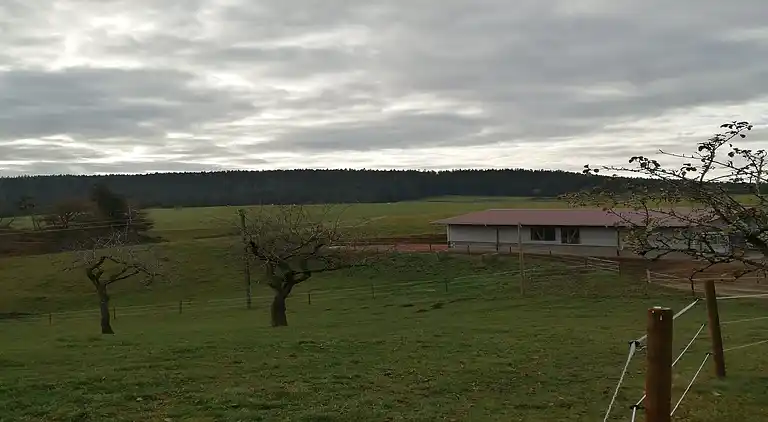 Ferielejlighed i Fohrenbühl