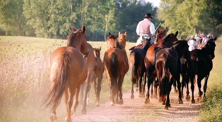 Farmhaus in Pitigliano