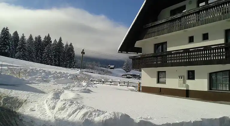 Appartement in Bohinjska Bistrica