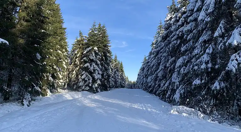 Hytte i Bévercé