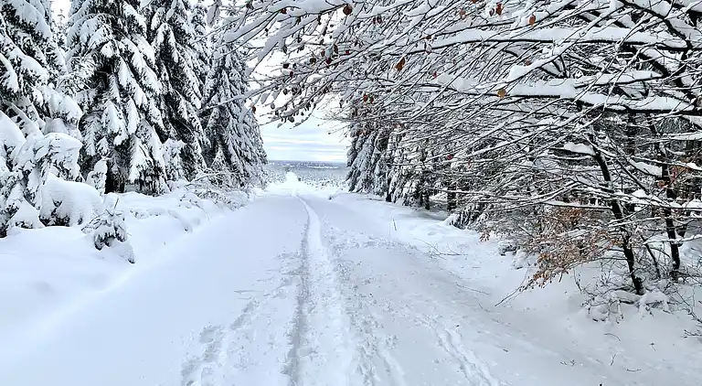 Hytte i Bévercé