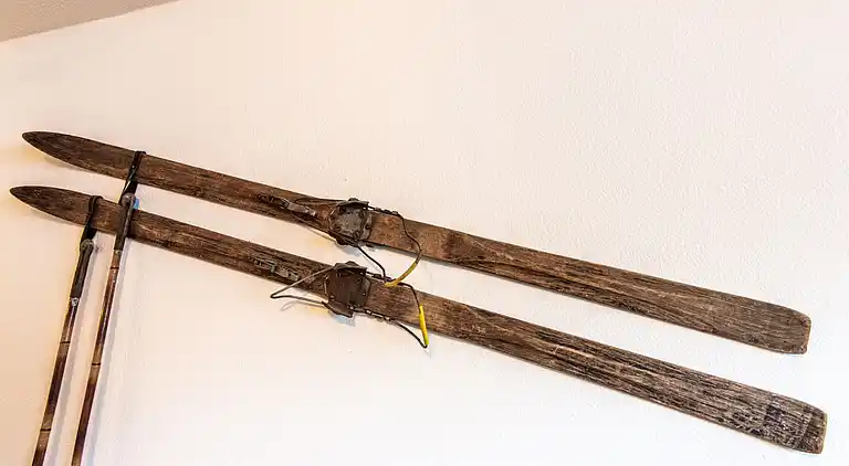 Ferielejlighed i Zell am See