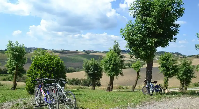 Ferienhaus in Peccioli