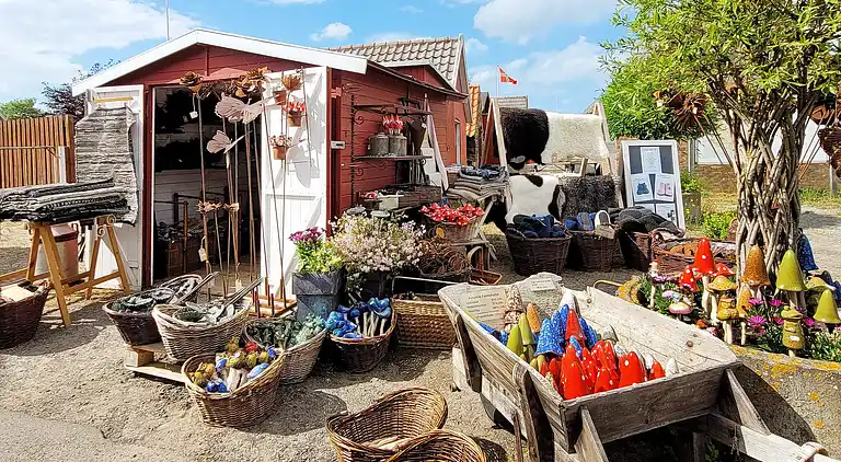 Feriebolig i Snogebæk