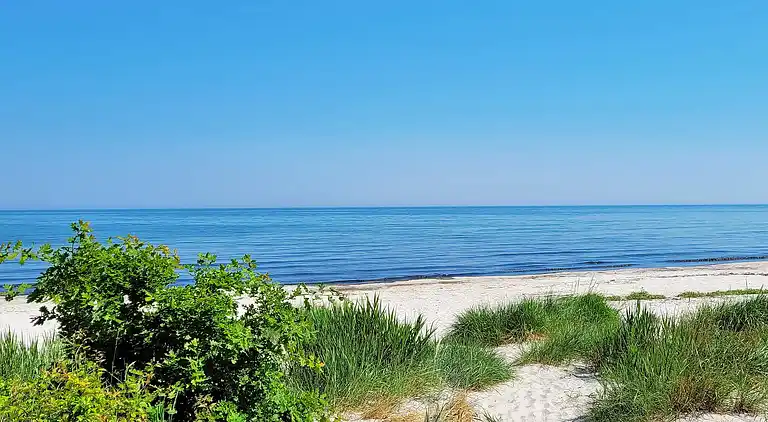 Feriebolig i Snogebæk