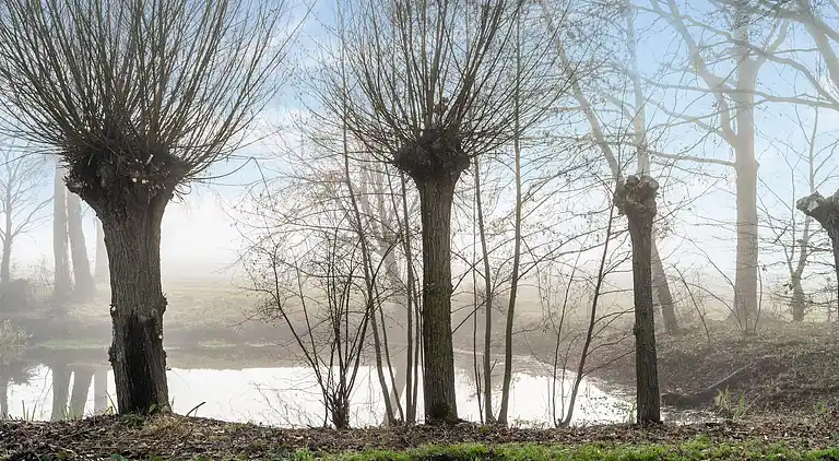 Ferielejlighed i Slenaken