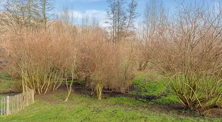 Ferielejlighed i Slenaken