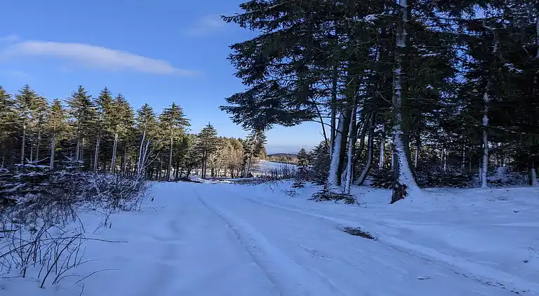 Ferienwohnung in Wissinghausen