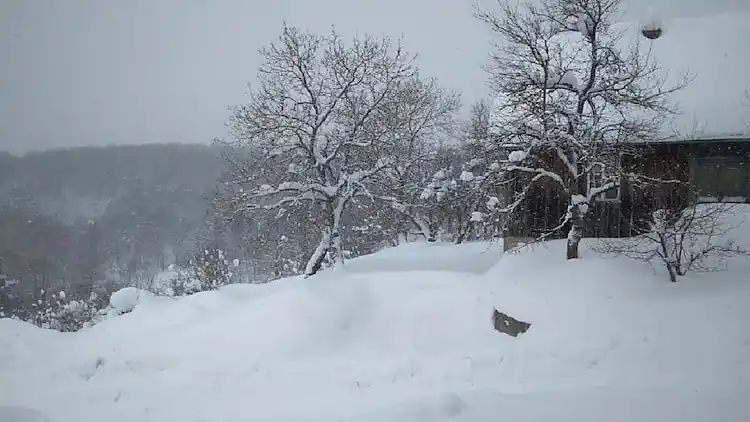 Holiday home in Vrbovsko