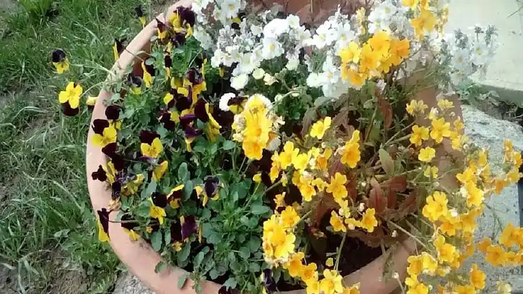 Holiday home in Vrbovsko