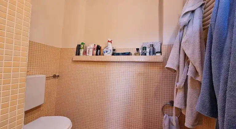 Holiday home in Camaiore