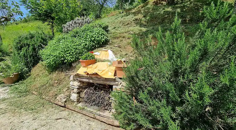 Holiday home in Camaiore