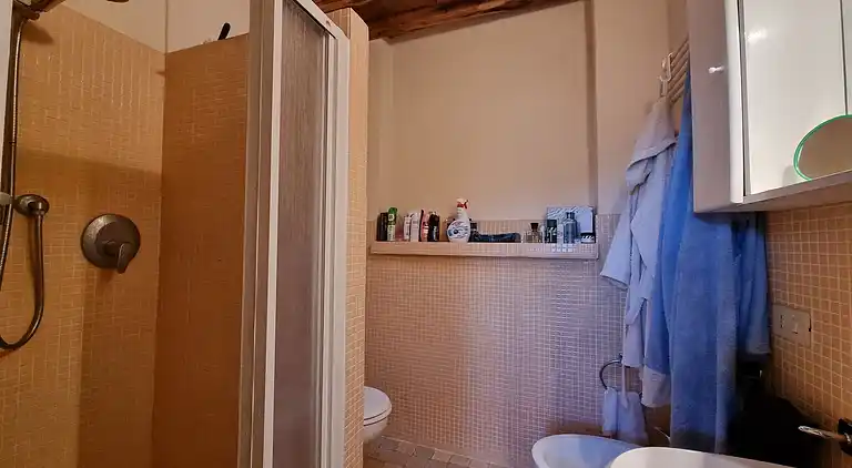 Holiday home in Camaiore