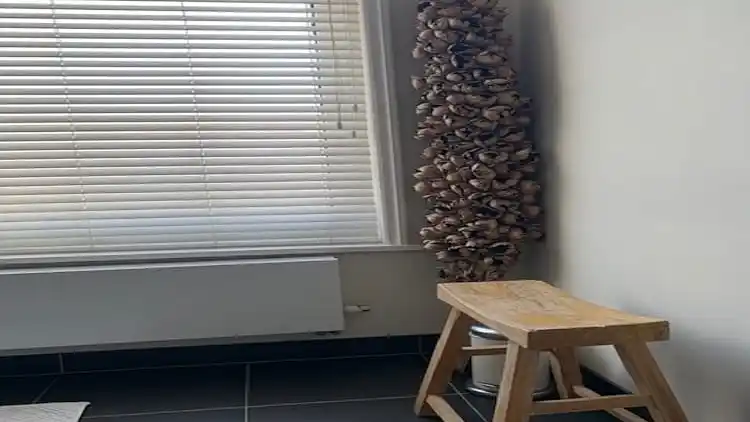 Sommerhus i The Hague Center