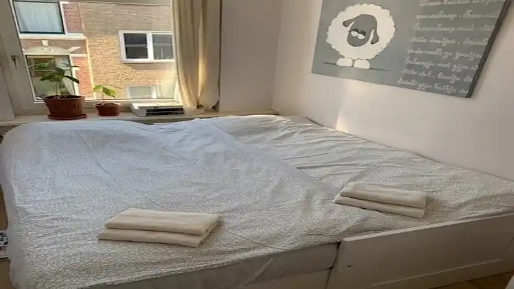 Sommerhus i The Hague Center