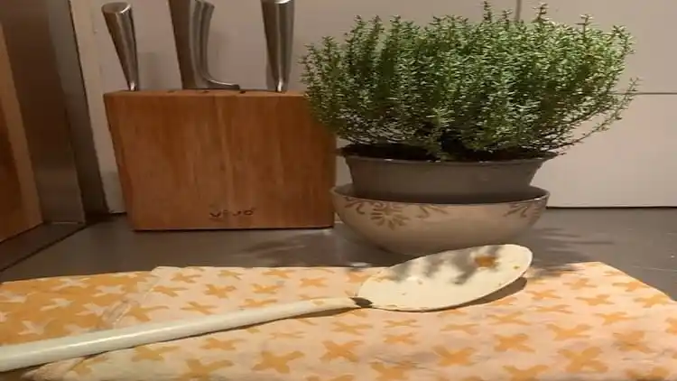 Sommerhus i The Hague Center