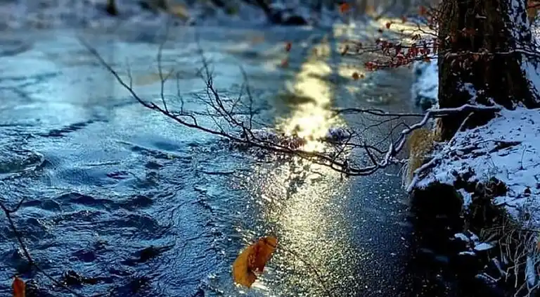 Holiday home in Ermsleben