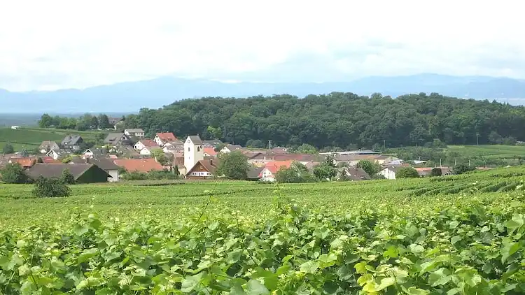 Ferielejlighed i Bischoffingen