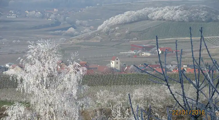 Ferielejlighed i Bischoffingen