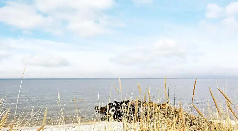 Holiday home in Frederikshavn Municipality