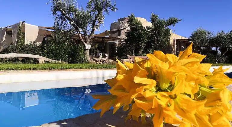 ledunedelmarchese. CAMI