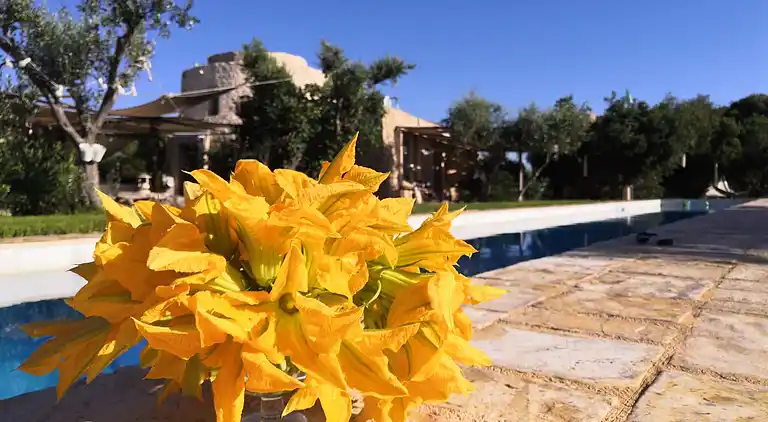 ledunedelmarchese. CAMI