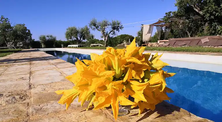 ledunedelmarchese. DADO