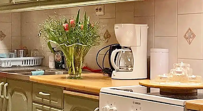 Feriebolig i Tjörn N