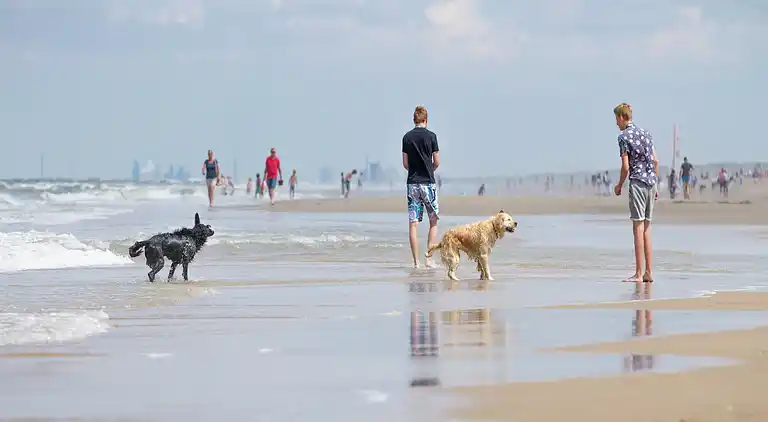 Villa in South Holland