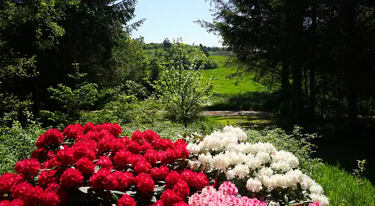 Sommerhus på Fur med enestående havutsikt
