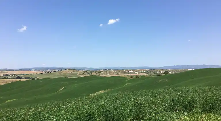 Farm house in Asciano
