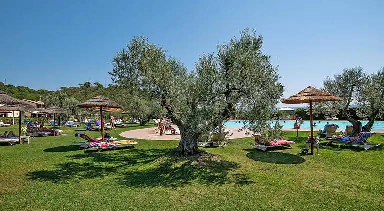 Ferienwohnung in Campiglia Marittima