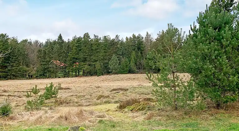 Feriebolig i Bording