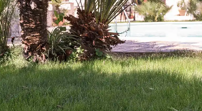 Villa with private pool for 6 people in Sicily