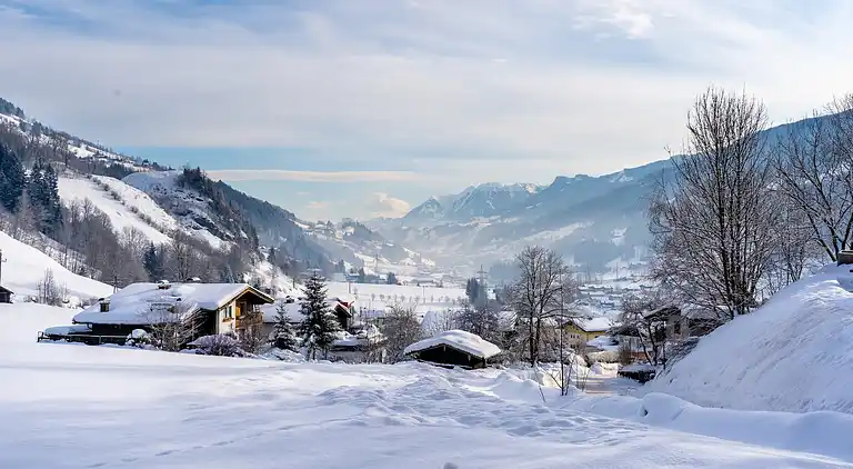 Apartment in Bruck an der Großglocknerstraße