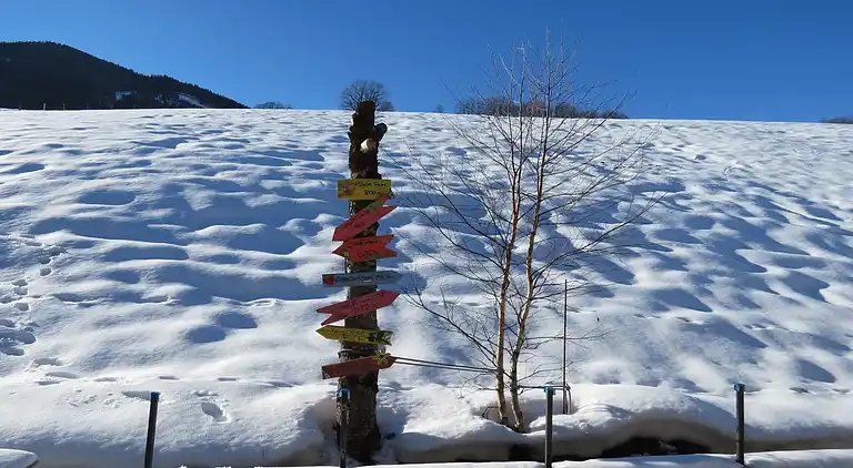 Apartment in Maria Alm