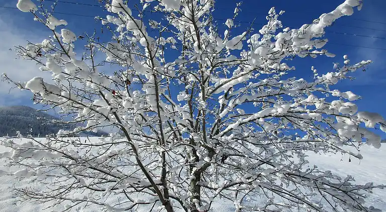 Apartment in Maria Alm