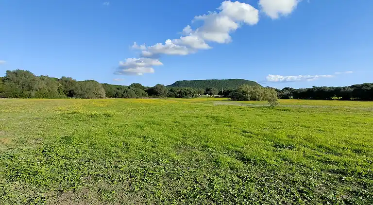 La Quinta de Maria Luisa