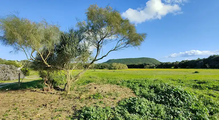La Quinta de Maria Luisa