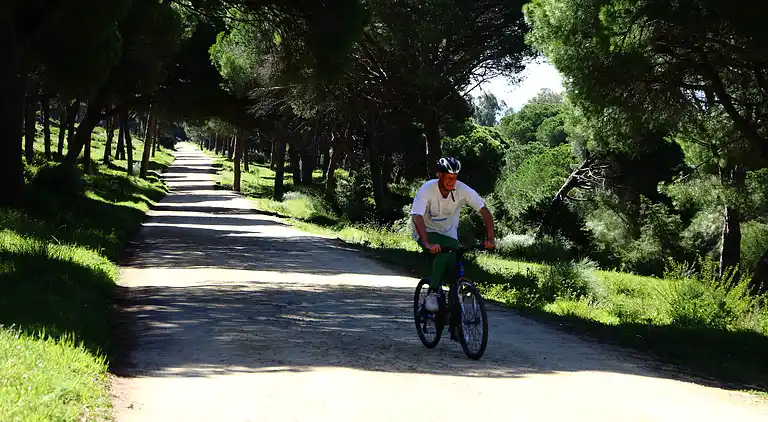 La Quinta de Maria Luisa