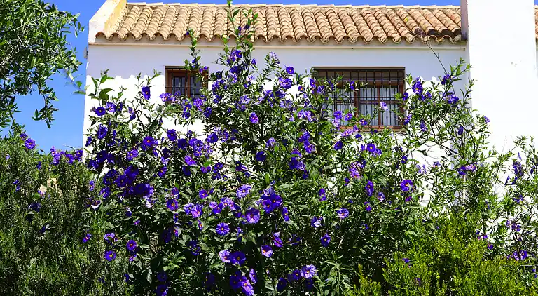 La Quinta de Maria Luisa