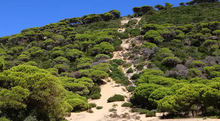 La Quinta de Maria Luisa